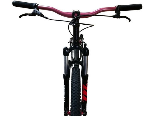 Forcella a 26 pollici della sospensione della pagina di Chromoly della bici del paese trasversale di Hardtail di salto della sporcizia