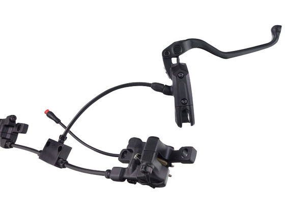 La bici elettrica su misura risparmia la breve progettazione della lama per il triciclo elettrico