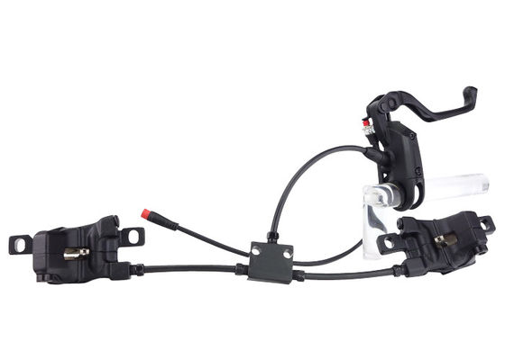 La bici elettrica su misura risparmia la breve progettazione della lama per il triciclo elettrico